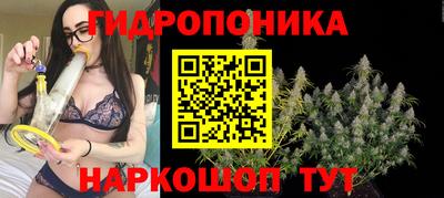 PSILOCYBIN Кинель
