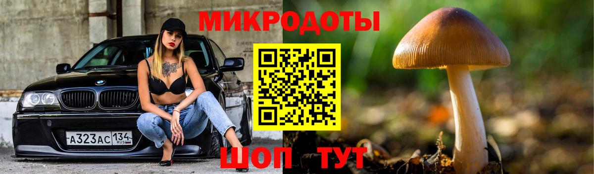 Галлюциногенные грибы Psilocybe Корсаков